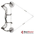 Блочный лук Bear Archery Divergent EKO, RH, Iron (черный)
